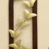 W--Alena Butterfly Wall Décor on Wooden Frame