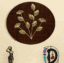 W-Arkar Leaf Wall Décor on Wood