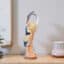 Swan Figurine Showpiece – Multicolor Standing Polyresin